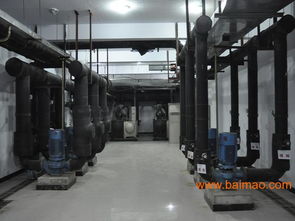 一流的集中式空調(diào)維護(hù)保養(yǎng) 要找可靠的中央空調(diào)系統(tǒng)維護(hù)保養(yǎng),競(jìng)創(chuàng)機(jī)電設(shè)備公司,一流的集中式空調(diào)維護(hù)保養(yǎng) 要找可靠的中央空調(diào)系統(tǒng)維護(hù)保養(yǎng),競(jìng)創(chuàng)機(jī)電設(shè)備公司生產(chǎn)廠家